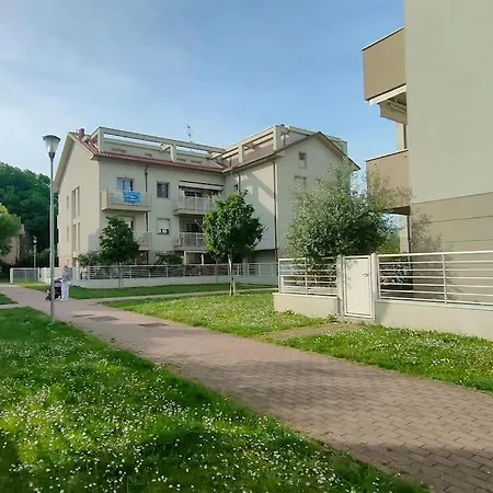 Bilo De Andre Rimini