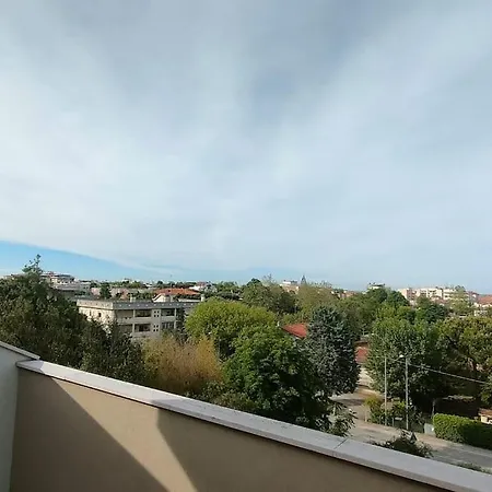 Bilo De Andre * ريميني